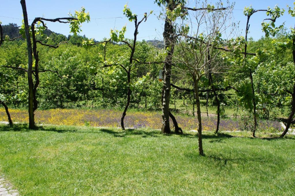 Quinta Travessa Βίλα Vieira do Minho Εξωτερικό φωτογραφία