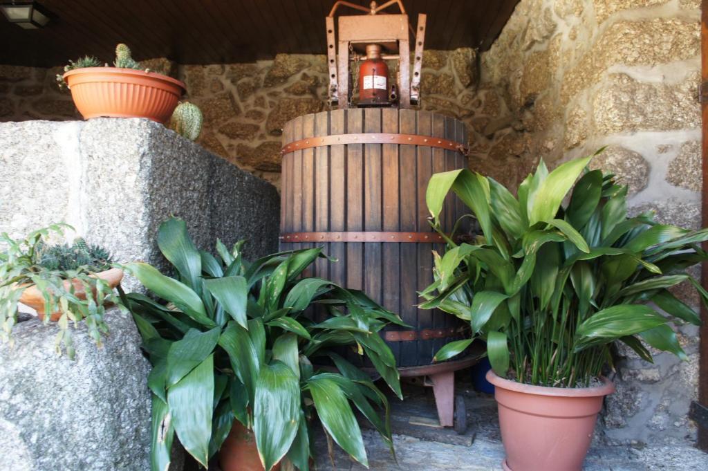 Quinta Travessa Βίλα Vieira do Minho Εξωτερικό φωτογραφία