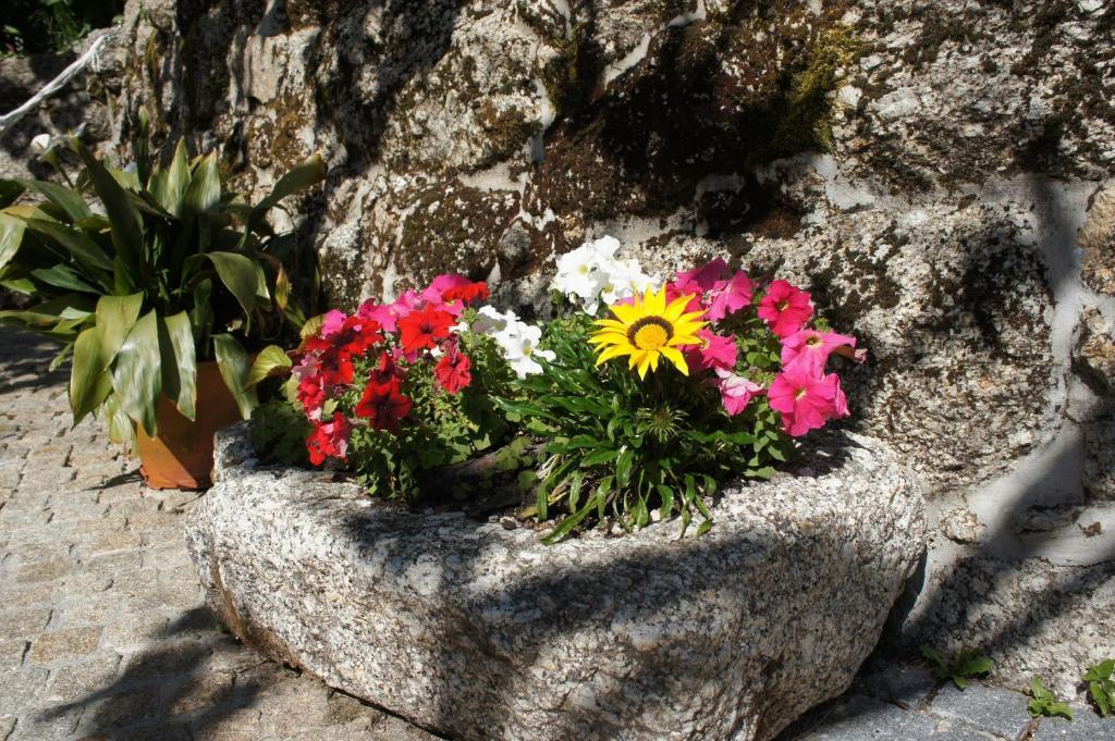 Quinta Travessa Βίλα Vieira do Minho Εξωτερικό φωτογραφία